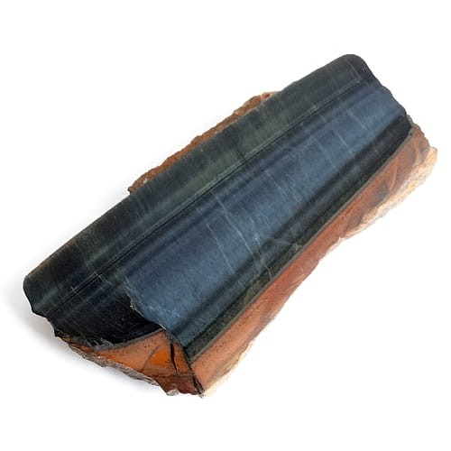 sokole oko plaster.jpg