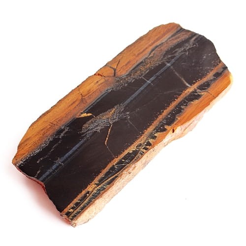 sokole oko plaster.jpg