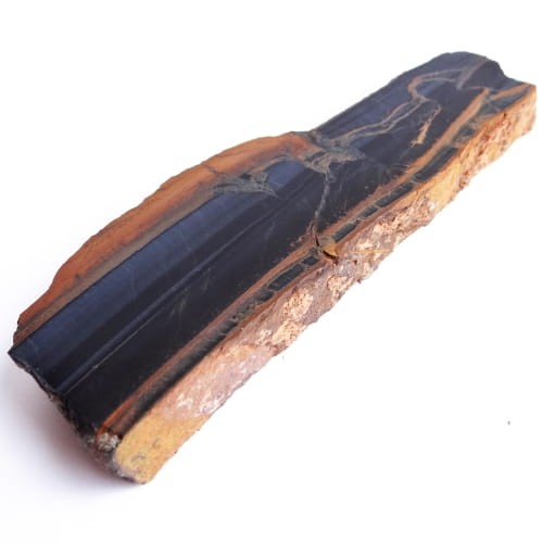 sokole oko plaster.jpg