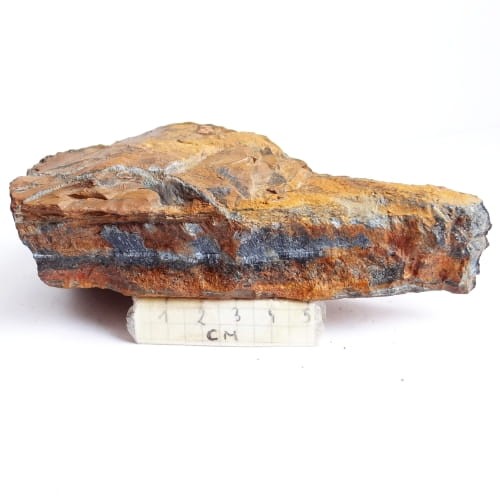 naturalne sokole oko.jpg