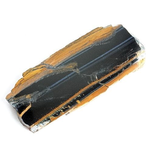 sokole oko plaster.jpg