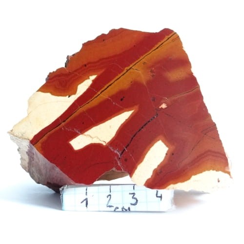 duży pseudojaspis.jpg