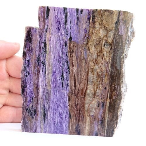 czaroit plaster.jpg