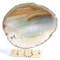 agat plaster.jpg