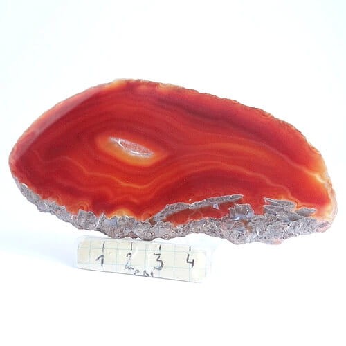 agat plaster.jpg