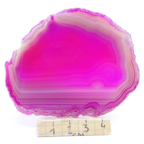 agat plaster.jpg