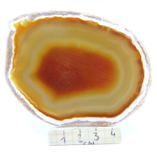 czerwony agat plaster.jpg