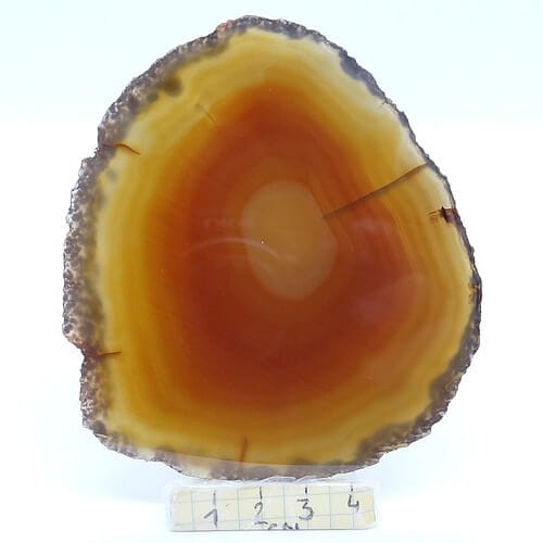 agat plaster.jpg