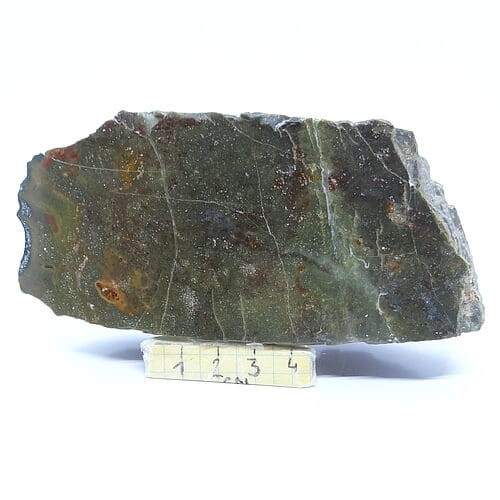 duży heliotrop.jpg
