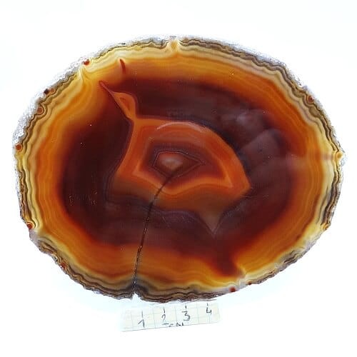 agat plaster.jpg