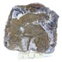 skamieniałe drewno plaster.jpg