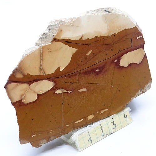 duży pseudojaspis.jpg