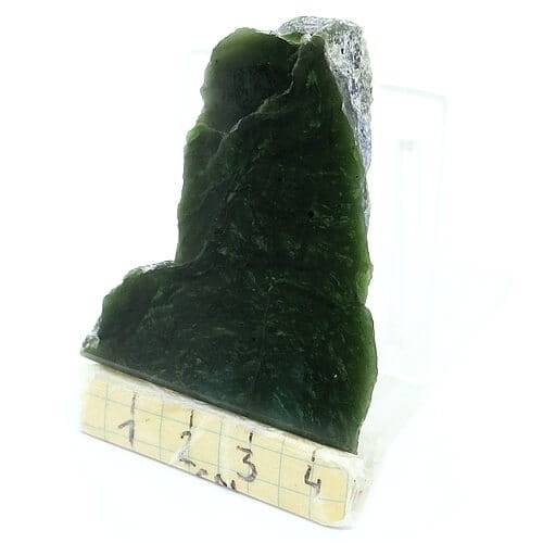 nefryt plaster.jpg