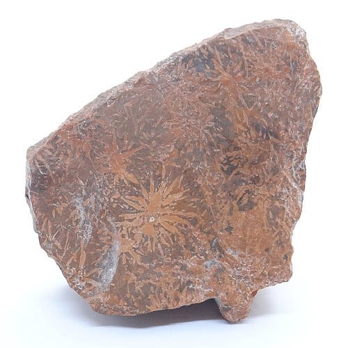 naturalny jaspis.jpg