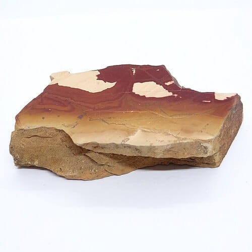 pseudojaspis plaster.jpg