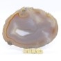 agat plaster.jpg