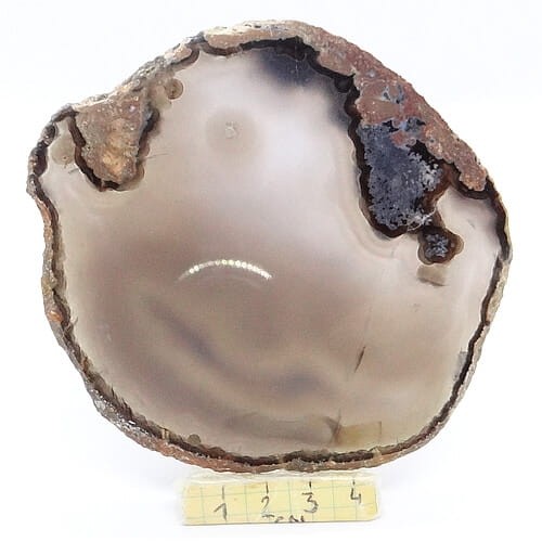 agat plaster.jpg