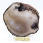 naturalny agat plaster.jpg