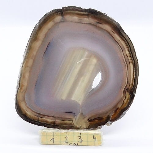 agat plaster.jpg