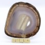 agat plaster.jpg