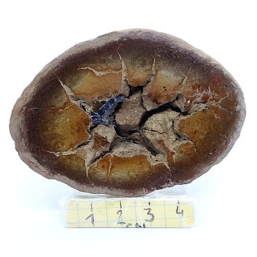oszlifowana septaria.jpg