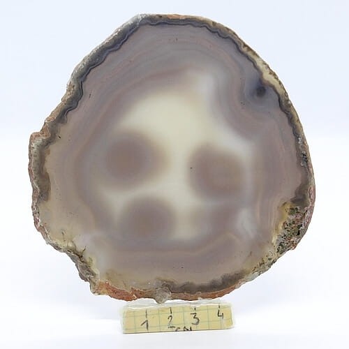 agat plaster.jpg