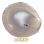 agat plaster.jpg