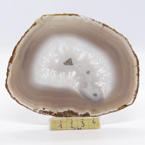 koronkowy agat plaster.jpg