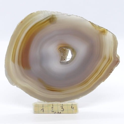 agat plaster.jpg