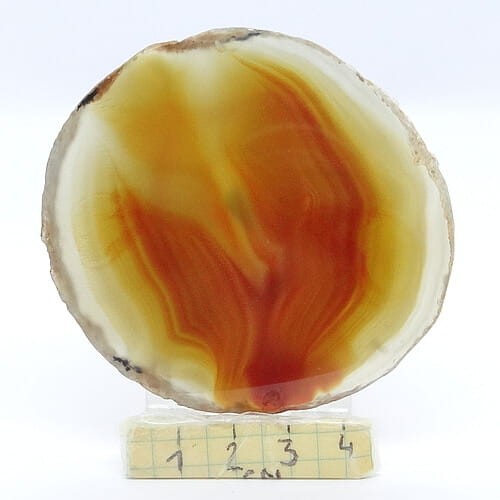 agat plaster.jpg