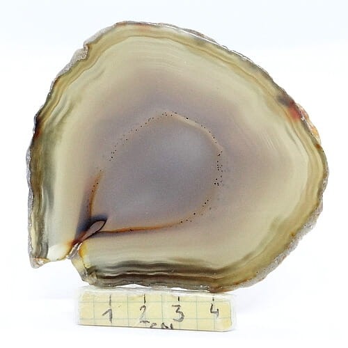 agat plaster.jpg