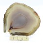 agat plaster.jpg