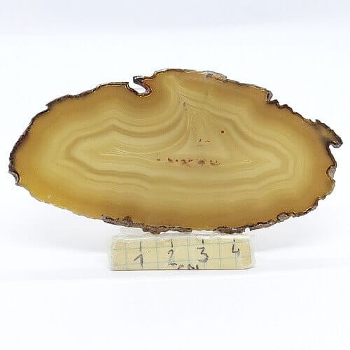 agat plaster.jpg