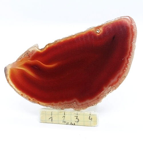agat plaster.jpg