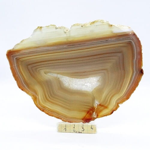 agat plaster.jpg