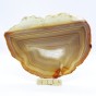 agat plaster.jpg