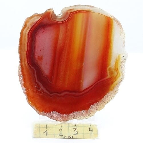 agat plaster.jpg