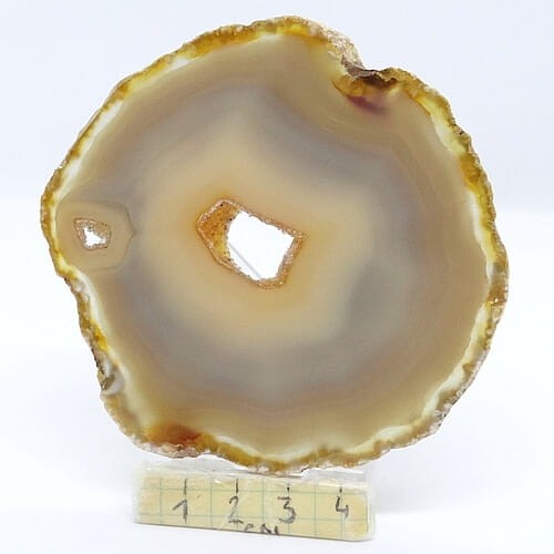 agat plaster.jpg