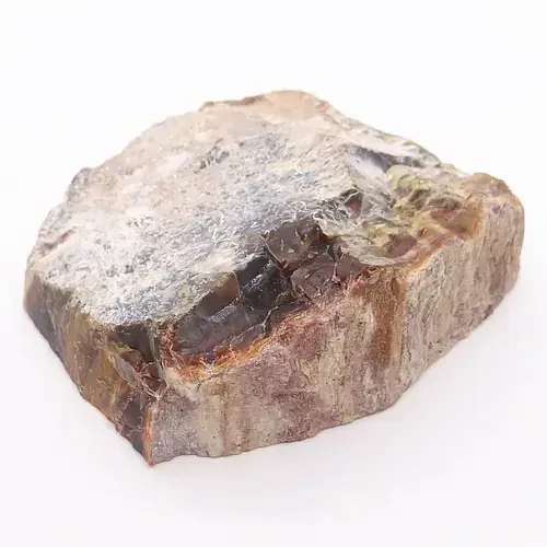 naturalne skrzemieniałe drewno.webp