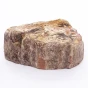 naturalne skamieniałe drzewo.webp
