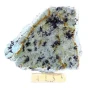 turkus plaster.webp