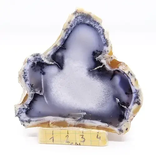 opal.webp
