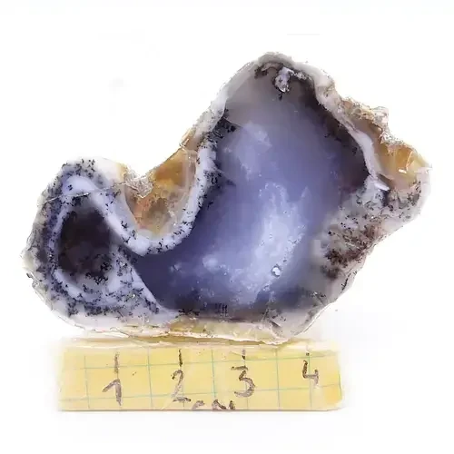 opal.webp