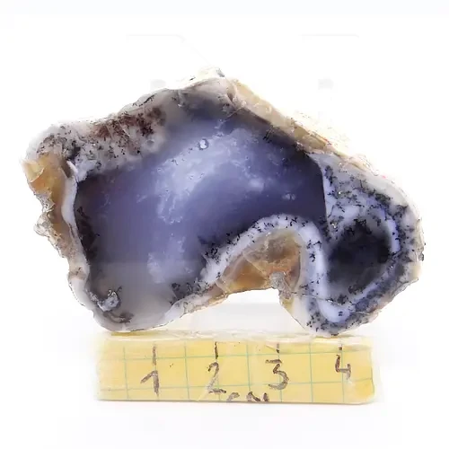 opal dendrytowy.webp
