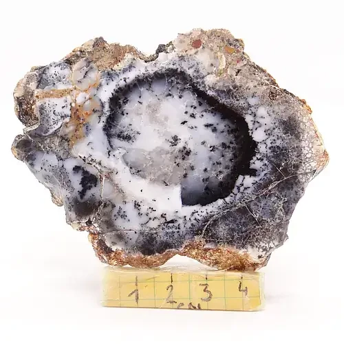opal.webp