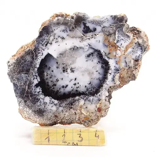 opal zgład.webp