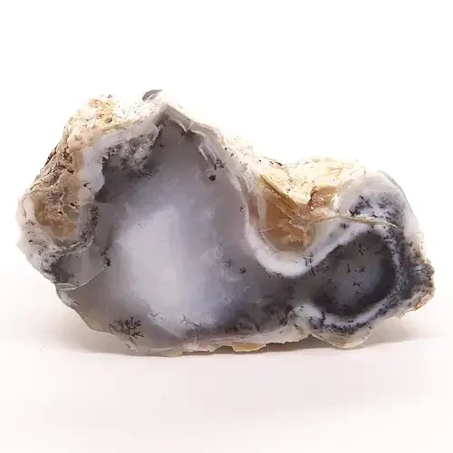 opal.webp
