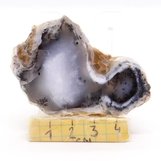 opal dendrytowy.webp