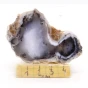 opal dendrytowy.webp