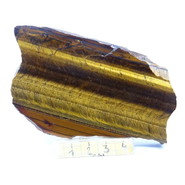tygrysie oko plaster.webp